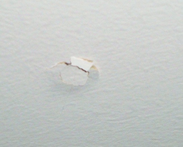 How To Fix Popped Drywall Screws SensiBuild Construction